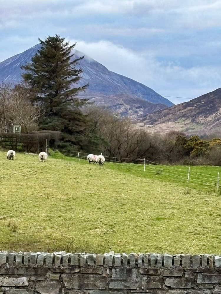 Views of Muckish Mountain